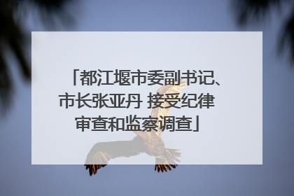 都江堰市委副书记、市长张亚丹 接受纪律审查和监察调查
