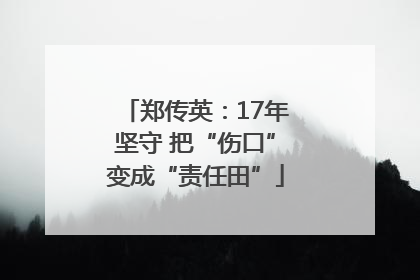郑传英：17年坚守 把“伤口”变成“责任田”