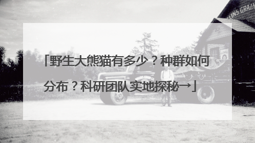野生大熊猫有多少？种群如何分布？科研团队实地探秘→