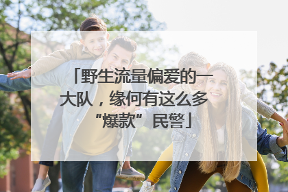 野生流量偏爱的一大队，缘何有这么多“爆款”民警