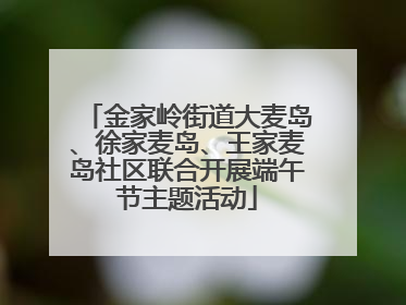 金家岭街道大麦岛、徐家麦岛、王家麦岛社区联合开展端午节主题活动