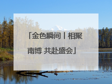 金色瞬间丨相聚南博 共赴盛会