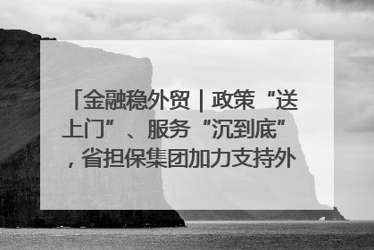 金融稳外贸｜政策“送上门”、服务“沉到底”，省担保集团加力支持外经贸高质量发展