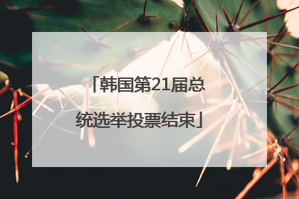 韩国第21届总统选举投票结束