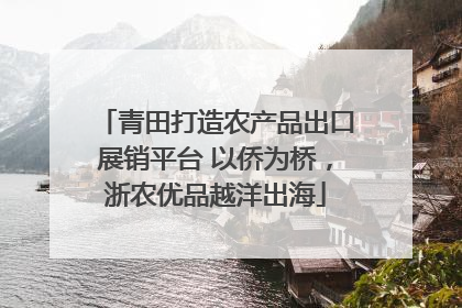 青田打造农产品出口展销平台 以侨为桥，浙农优品越洋出海