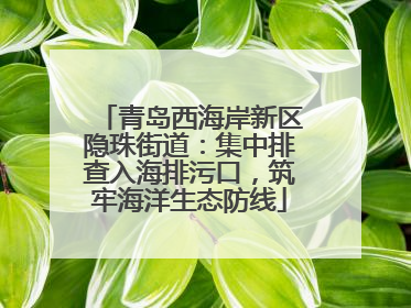 青岛西海岸新区隐珠街道：集中排查入海排污口，筑牢海洋生态防线