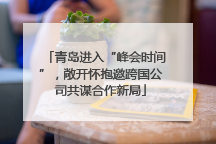 青岛进入“峰会时间”，敞开怀抱邀跨国公司共谋合作新局