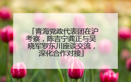 青海党政代表团在沪考察，陈吉宁龚正与吴晓军罗东川座谈交流，深化合作对接