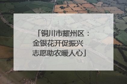 铜川市耀州区：金银花开促振兴 志愿助农暖人心