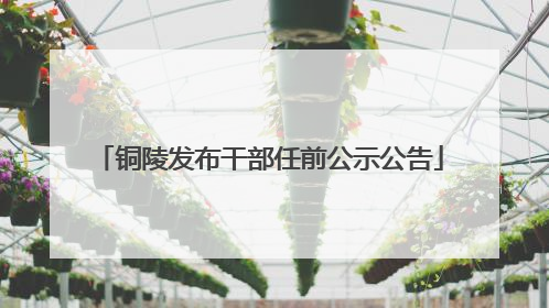 铜陵发布干部任前公示公告