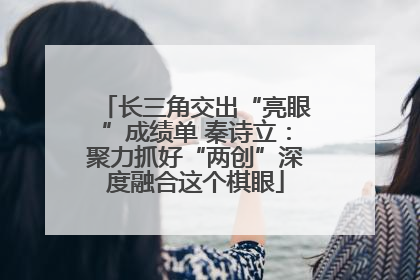 长三角交出“亮眼”成绩单 秦诗立：聚力抓好“两创”深度融合这个棋眼