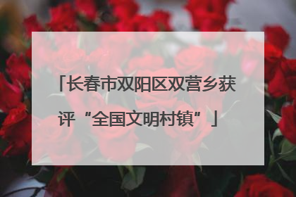 长春市双阳区双营乡获评“全国文明村镇”