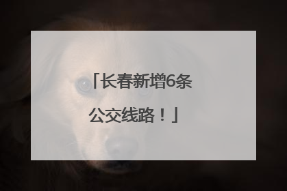 长春新增6条公交线路！
