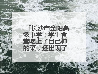 长沙市金阳高级中学：学生食堂吃上了自己种的菜，还出现了一批劳动能手