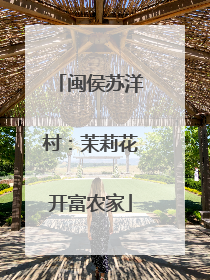 闽侯苏洋村：茉莉花开富农家
