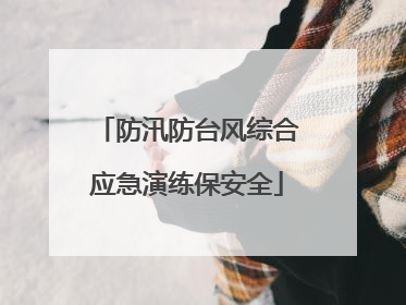 防汛防台风综合应急演练保安全