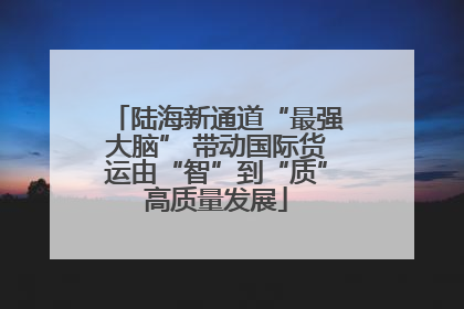 陆海新通道“最强大脑” 带动国际货运由“智”到“质”高质量发展