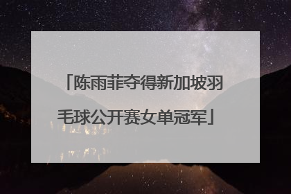 陈雨菲夺得新加坡羽毛球公开赛女单冠军