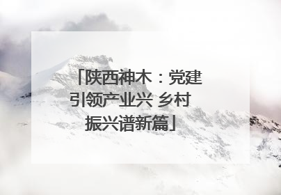 陕西神木：党建引领产业兴 乡村振兴谱新篇