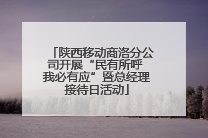 陕西移动商洛分公司开展“民有所呼 我必有应”暨总经理接待日活动