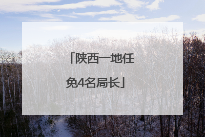 陕西一地任免4名局长