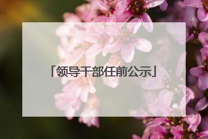 领导干部任前公示