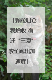 颗粒归仓稳增收 宿迁“三夏”农忙跑出加速度