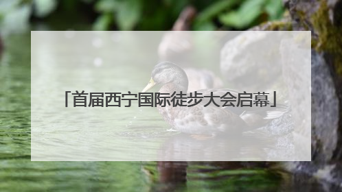 首届西宁国际徒步大会启幕