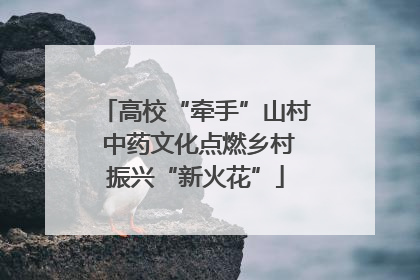 高校“牵手”山村 中药文化点燃乡村振兴“新火花”
