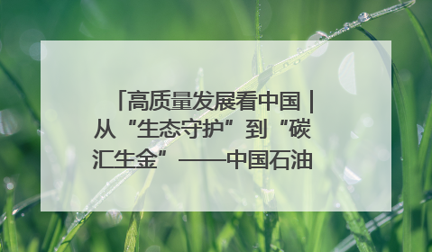 高质量发展看中国｜从“生态守护”到“碳汇生金”——中国石油大庆油田绿色蝶变
