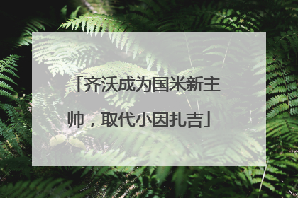 齐沃成为国米新主帅，取代小因扎吉