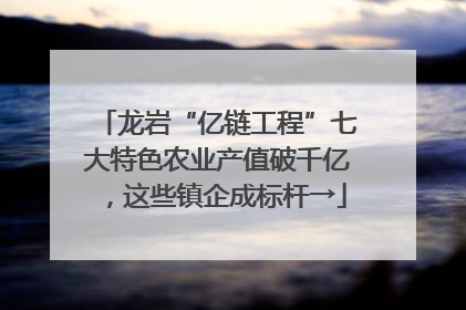 龙岩“亿链工程”七大特色农业产值破千亿，这些镇企成标杆→