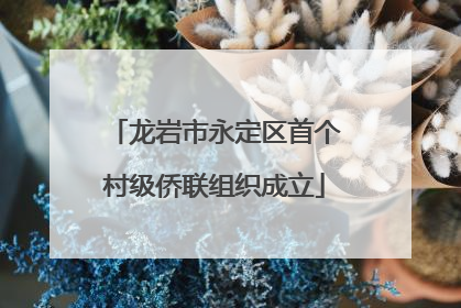 龙岩市永定区首个村级侨联组织成立