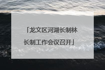 龙文区河湖长制林长制工作会议召开