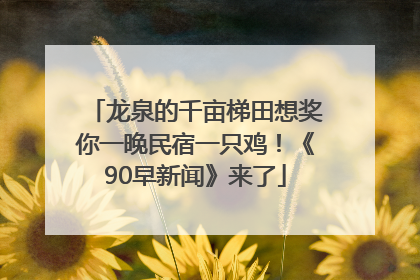 龙泉的千亩梯田想奖你一晚民宿一只鸡！《90早新闻》来了
