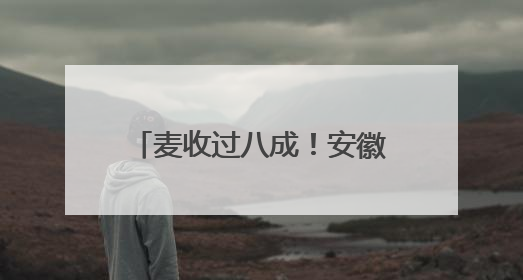 麦收过八成！安徽夏粮有望再迎丰收