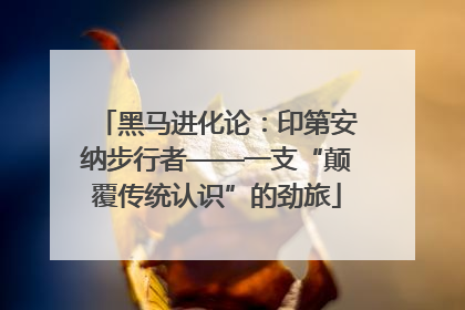 黑马进化论：印第安纳步行者——一支“颠覆传统认识”的劲旅