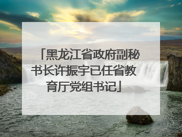 黑龙江省政府副秘书长许振宇已任省教育厅党组书记
