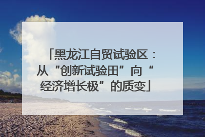 黑龙江自贸试验区：从“创新试验田”向“经济增长极”的质变