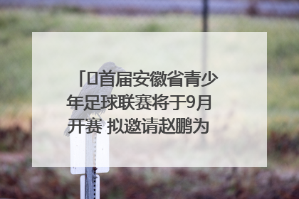 ﻿首届安徽省青少年足球联赛将于9月开赛 拟邀请赵鹏为先导赛开球