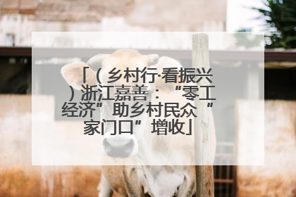 （乡村行·看振兴）浙江嘉善：“零工经济”助乡村民众“家门口”增收