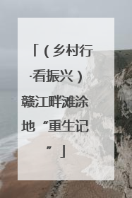 （乡村行·看振兴）赣江畔滩涂地“重生记”