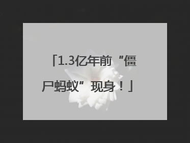 1.3亿年前“僵尸蚂蚁”现身！