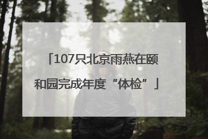 107只北京雨燕在颐和园完成年度“体检”