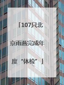107只北京雨燕完成年度“体检”