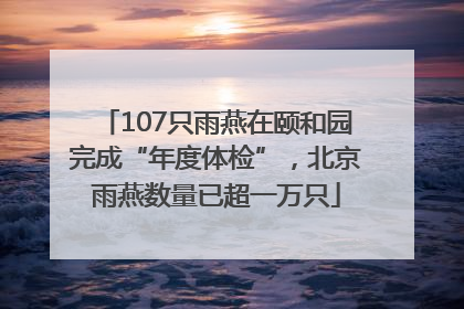 107只雨燕在颐和园完成“年度体检”，北京雨燕数量已超一万只