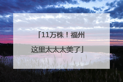 11万株！福州这里太太太美了