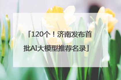 120个！济南发布首批AI大模型推荐名录