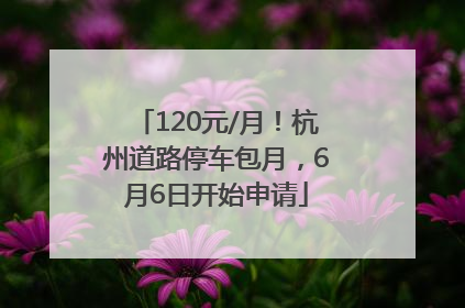 120元/月！杭州道路停车包月，6月6日开始申请