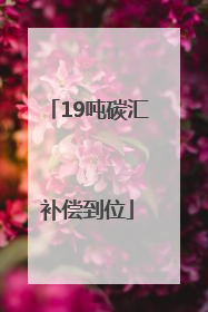 19吨碳汇补偿到位
